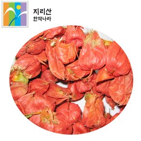 국내산 야생 꽈리열매 건조상품 / 열매만 떼어서 발송/ 상세설명 보관 주의사항 필수, 50g, 1개