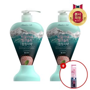 LG 생활건강 히말라야핑크솔트 펌핑치약 아이스민트 285gx2개+칫솔 1입, 285g, 1세트