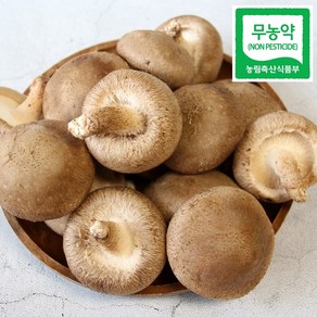 광헌팜 생표고버섯 1kg/2kg/4kg, 표고버섯 못난이 2kg, 1개