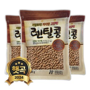 현대농산 갈색렌틸콩 1.8kg (600gx3봉) 렌즈콩, 3개