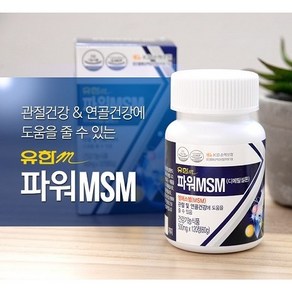 파워 MSM 관절영양제 2개월분 120정 2병 [유한메디카], 500mg, 2개