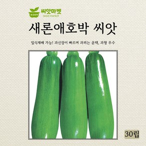 다농 새론애호박 씨앗 30립, 1개