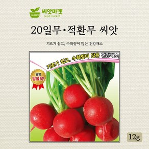 아시아종묘 20일무 적환무 씨앗 12g, 1개