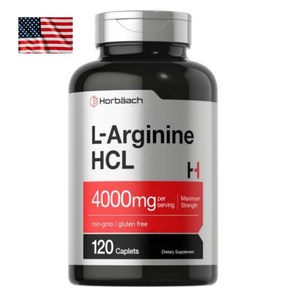 미국 Hobaach Aginine HCL 4000mg 120캡슐 호바흐 엘아르기닌 고함량 직구, 1개, 120정