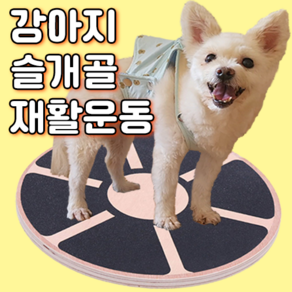 건강루틴 강아지 짐볼 슬개골 탈구 예방 밸런스 쿠션 디스크 운동 애견 재활 애견짐볼, 1개