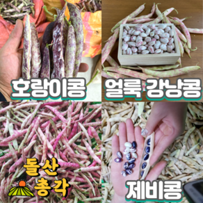[돌산총각] 100% 노지재배 콩, 국내산 깐 냉동 호랑이 제비 얼룩 혼합 콩 1kg, 1개