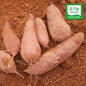 친환경팔도 [산지직송] 무안 유기농 꿀고구마 (중상) 3kg 5kg 10kg, 1박스