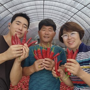 [당일제분] 100% 국내산 굵은 햇 고춧가루 김치/반찬용 안매운맛, 1개, 500g