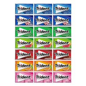 Trident Sugar Free Gum Variety Pack Spearmint Pe 트라이던트 무설탕 껌 다양한 팩 스피어민트 퍼펙트 페퍼민트 오리지널 버블검 수박