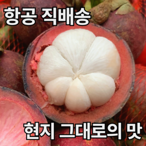 [상콤달콤 탱글탱글] 태국 망고스틴 프리미엄 생망고스틴 항공직송 열대과일, 1박스, 망고스틴 2kg(16~28과)