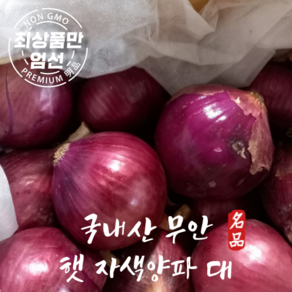 국내산 명품 무안 햇 자색양파 적양파 대 사이즈, 1박스, 5kg(대사이즈)