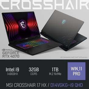 MSI 크로스헤어 17 HX D14VGKG-i9 QHD, WIN11 Po, 32GB, 1TB, 그레이