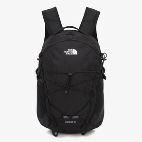 [국내매장판]노스페이스 THE NORTH FACE NM2SQ09A 어센드 엘티 15 NM2SQ09A, ONE, BLACK, 1개