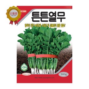 경신종묘 열무씨앗 튼튼열무 600g, 1개