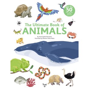 [플랩북] The Ultimate Book of Cities Vehicles Animals 외 선택구매