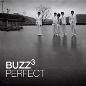 [CD] 버즈 (Buzz) 3집 - Perfect