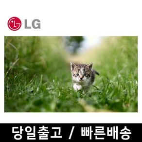 LG 65인치 최신형 4K UHD 스마트 TV 65UR8000 OTT 핫딜