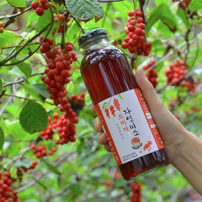 자연미소 문경 오미자청 500ml (비정제원당)