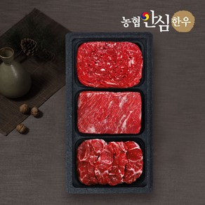 농협안심한우 1등급 정성가득정육세트 (국거리+불고기+사태)/팩당400g/총1.2kg, 1개