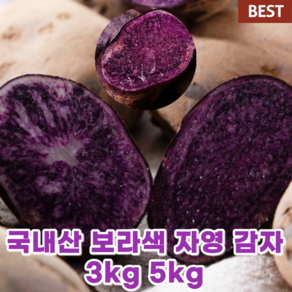 국내산 국산 자색 자영 감자 3kg 5kg 싱싱한 컬러 감자 보라색 홍영 감자 햇 감자 제철음식 찜용 간식용 생 감자, 1개