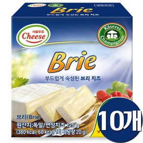 브리치즈, 125g, 10개