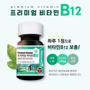 비타민 B12 500ug 시아노코발라민 영양제, 1개, 90정