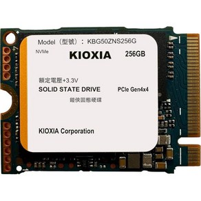 KIOXIA SSD 512GB M.2 2230 30mm NVMe PCIe 4.0 Gen 4 x BG5 OEM, 256 GB