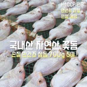 국내산 자연산 동해안 손질 반건조 참돔 (꽃돔) 700g 5미