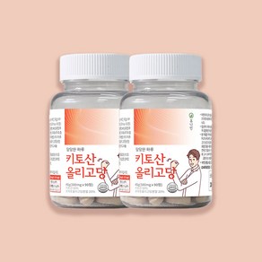 휴나인 당당한 하루 키토산 올리고당 500mg x 90정 x 2통