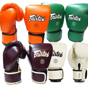 Fairtex BGV16 페어텍스 뉴컬러 복싱 무에타이 글러브 (본사상품)