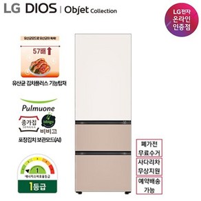 LG 디오스 오브제 컬렉션 김치톡톡 Z333GBC151S