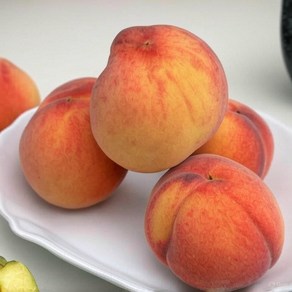 [실속추천] 한정수량 예약판매 신비복숭아 중과 1kg~4kg 산지직송 가정용 혼합세트, 1개, 신비복숭아 1kg 12과 (첫 구매 실속형)