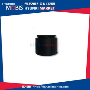 엔진 진동감소 튜닝 맥동댐퍼 (218234T000)