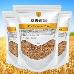 다온헬씨 고대통곡물 햇 호라산밀, 3개, 1kg