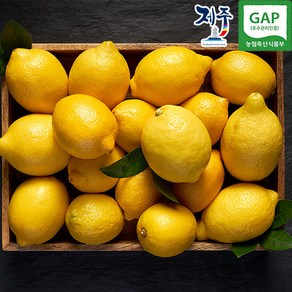 제주 GAP 인증 제주레몬, 1박스, 4.5kg, GAP인증 제주 레몬 4.5kg