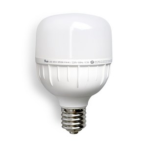 건식 ECO LED 전구 E39 원통 고와트 T램프 보안등 40W