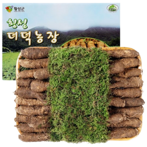 횡성더덕농장 더덕 선물세트 특1호, 1개, 선물세트 특1kg