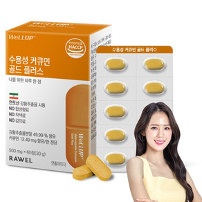 로엘 웰업 수용성 커큐민 골드 플러스 60p, 30g, 1개