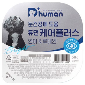 듀먼 전연령 강아지 케어플러스 눈건강 화식사료, 연어, 50g, 10개