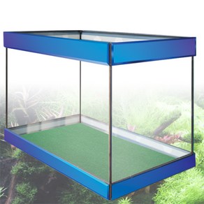 피쉬박스 청경 오픈어항 600 (60x35x42cm) 오픈형수조, 1개