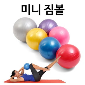 위시 미니짐볼(레드)20cm + 손펌프O