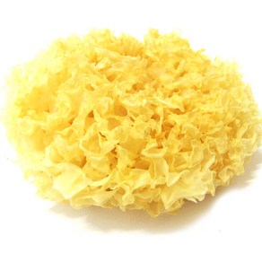 갑당약초 흰목이버섯 은이버섯 500g, 2개