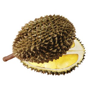 자연미가 아이스 생과 통 두리안, 2.5kg, 1개