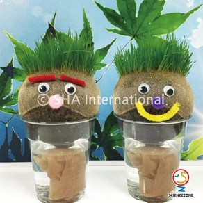 사이언스존 [잔디인형 만들기 5인용] 과학실험키트 학습교구세트
