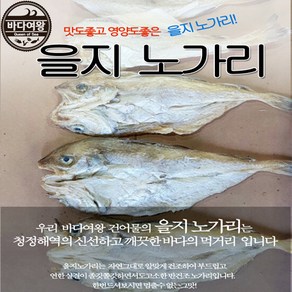 바다여왕 반건조노가리, 1개, 을지노가리1kg