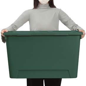 올리빙