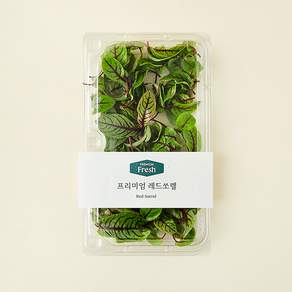 프리미엄 레드쏘렐
