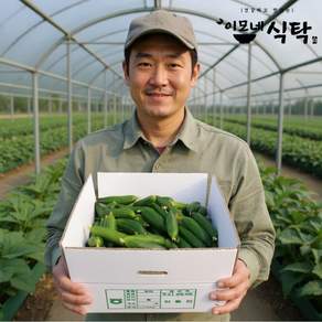 맛있는 미니오이 스낵오이 미니스탑 아기오이, 1세트, 2kg