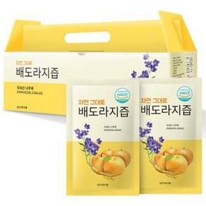 자연그대로 배도라지즙 파우치, 100ml, 30개
