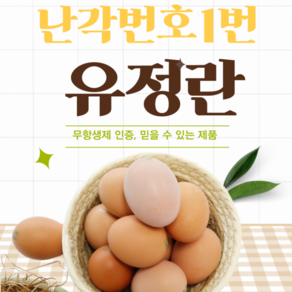[사계마켓] 난각번호1번 초신선 유정란 특란 산지직송 프리미엄 신선란 유정란1번 자연방목, 1세트, 40구